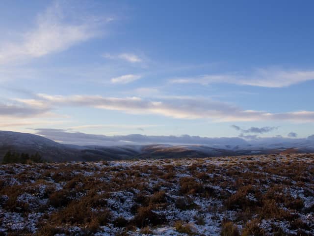 Forestry and Land Scotland, which has launched a land acquisition strategy that involves buying up ground to plant timber forests and tackle climate change, recently paid out more than £17m to purchase Glen Prosen in Angus in a hot land sales market. Picture: Getty Images