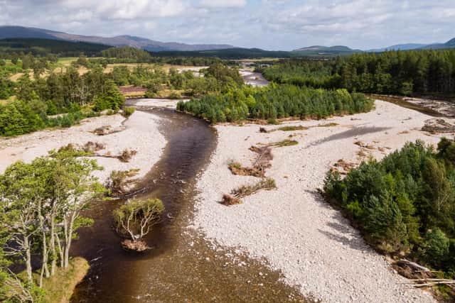 By the River Feshie, in the southern Cairngorms, grazing pressure has been drastically lowered to allow natural processes to take hold, while regeneration of native trees on previously exposed shingle bars has created myriad channels for young fish, reduced erosion of riverbanks and slowed water flow to minimise flood risk