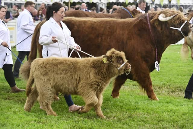 Royal Highland Show 2024