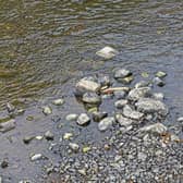 The low levels of water in the River Eden at Haugh Park in Cupar give an indication of why SEPA has issued a water scarcity warning for Fife