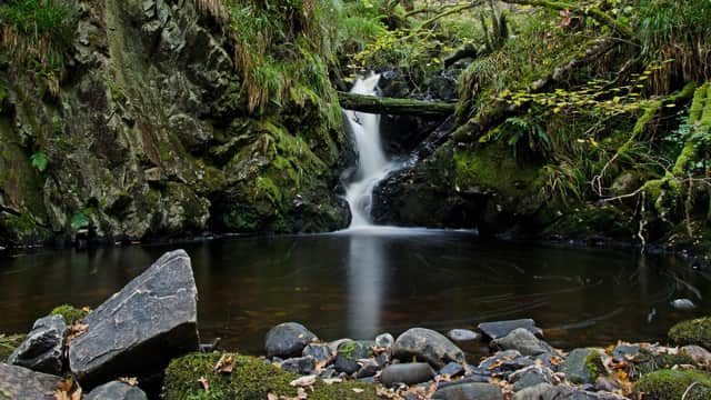The Fairy Glen at Spinningdale in Sutherland, once owned by wealthy industrialist Andrew Carnegie, has been bought by the Woodland Trust conservation charity
