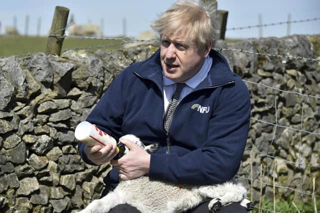 Boris Johnson, seen feeding a lamb at Moor Farm in Stoney Middleton, England, is a serial embarrassment, says Angus Robertson (Picture: Rui Vieira/AP)