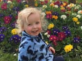 Toddler Xander Irvine died in a fatal traffic collision caused by a 91-year-old driver