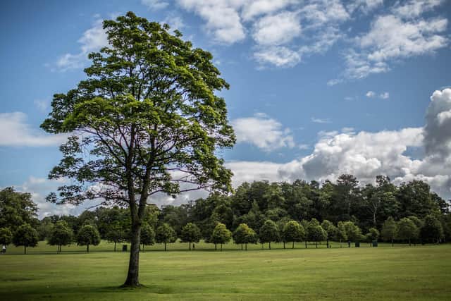 The Reeling festival will be held at Rouken Glen Park on 10 and 11 June.
