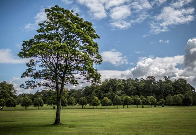 The Reeling festival will be held at Rouken Glen Park on 10 and 11 June.