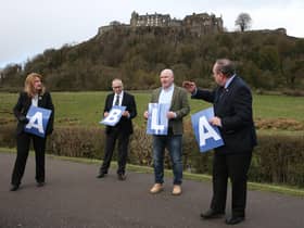 The Alba Party was hit by a potential cyber attack on Thursday