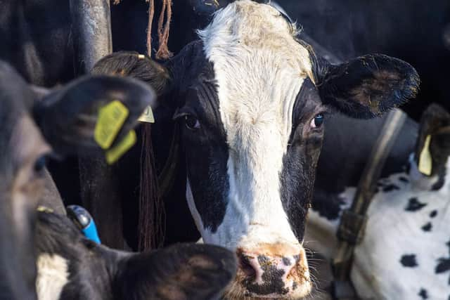 There are concerns about the impact of the UK-Australia trade deal on Scottish farmers.