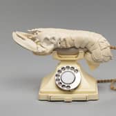 Lobster Telephone, by Salvador Dalí and Edward James PIC: National Galleries of Scotland, purchased by the Henry and Sula Walton Fund, with assistance from Art Fund.