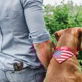 These are the most popular dog breeds in the United States of America since the global pandemic hit.