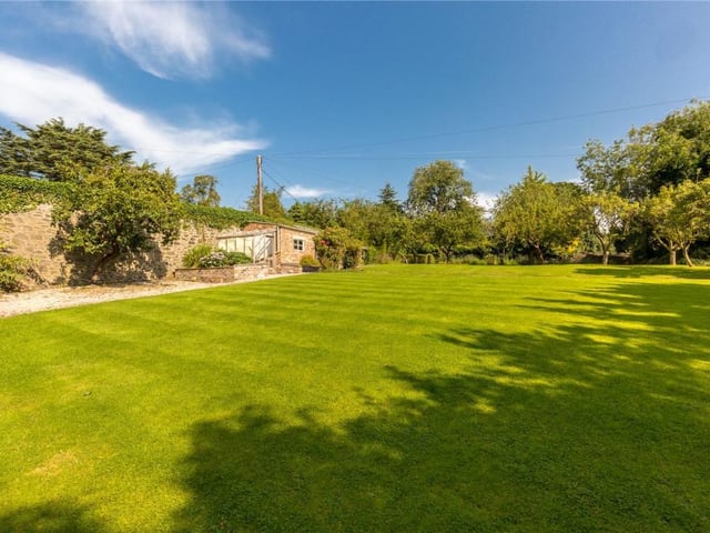 Rear garden.