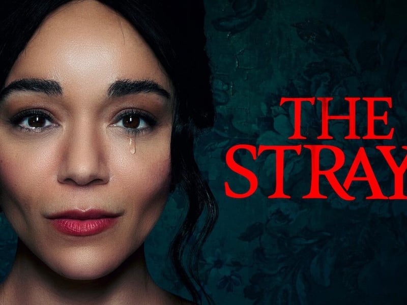 This hotly anticipated Netflix original thriller sees the perfect life of an upper-middle-class woman's unravel in tense fashion.