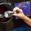 The launch of Scotland's deposit return scheme has been delayed until March.