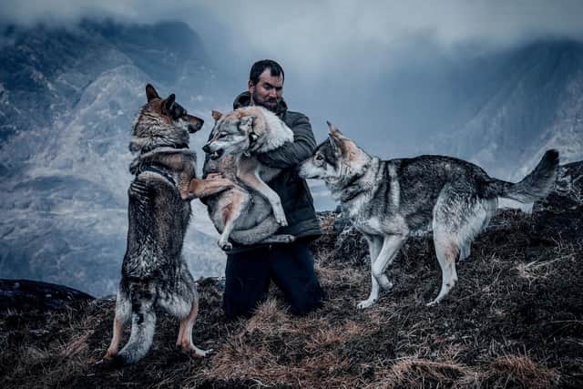Oli Barrington brought his four wolfdogs and three others belonging to a friend to the Isle of Skye recently - here he helps Bella with some unwanted attention from a couple of the males