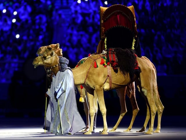 Camels are seen during the opening ceremony prior to the FIFA World Cup Qatar 2022 Group A match between Qatar and Ecuador.