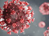 We know far more about the COVID-19 virus now than we did this time last year.