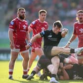 Glasgow Warriors' George Horne kicks the ball during the ECPR European Challenge Cup semi-final match at the Parc y Scarlets, Llanelli.