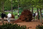 Course officials look over fallen trees on the 17th hole during the second round of the 2023 Masters Tournament at Augusta National Golf Club. Picture: Patrick Smith/Getty Images.