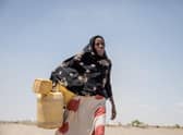 A villager in Kenya fetching water; Somalia, Kenya and Ethiopia are currently suffering from the worst drought in 40 years