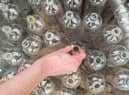 Organisations from around Europe have written to Circular Economy Minister Lorna Slater to show support for the Deposit Return Scheme.