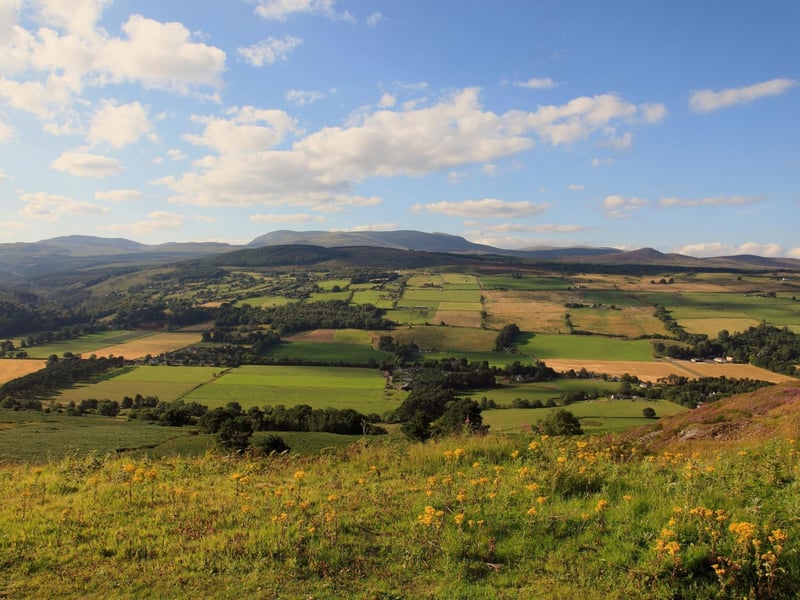 Offering an easy ascent with spectacular Highland views, Ben Wyvis, to the north of Inverness, is a great starter Munro.