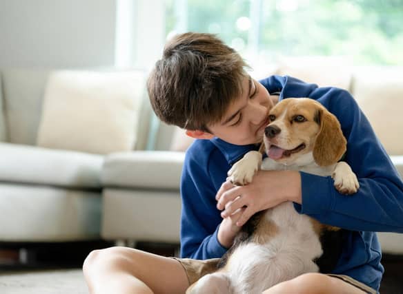These are 10 of the most child-friendly breeds of dogs.
