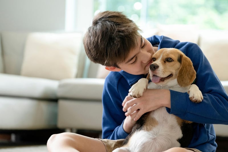 These are 10 of the most child-friendly breeds of dogs.