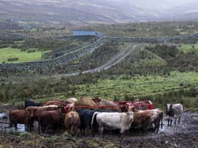 The Common Agricultural Policy has been a lifeline to Scottish agriculture for decades, but debate is raging over a new system of subsidies. Picture: Lisa Ferguson