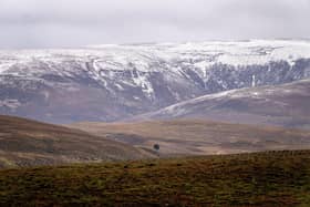 More than £10m has been announced to fund the Cairngorms to become the UK's first net zero national park (pic: Charlotte Graham)