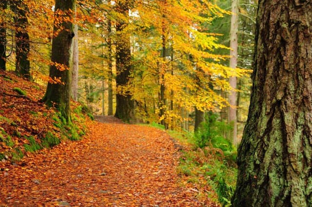 The date that determines when autumn starts depends on which definition you are going with.