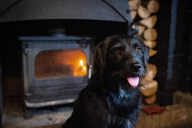 Dogs are very welcome at the Lord Crewe Arms in Blanchland, on the edge of the North Pennines, with dog beds and treats and four legged guests can even enjoy a Woof beer with their owner in the Crypt bar. Pic: Adam Lynk