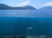 Scottish renewable energy firm Nova Innovation has wone £200,000 of funding from the UK government to scope out plans to create a 7MW tidal turbine farm in Indonesian waters