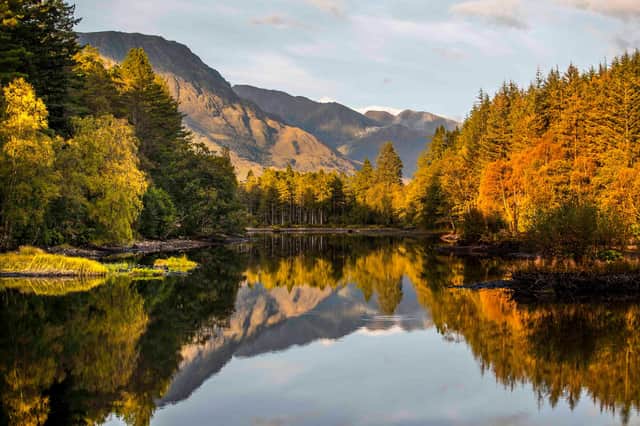 Is Scotland up to the challenge of becoming a 'rewilding nation' – one that wants to solve its problems by working with nature instead of against it. Picture: Glencoe Lochan/Jane Barlow/PA