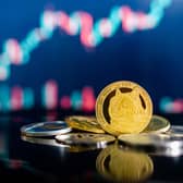 Cryptocurrency Shiba Inu is the latest digital token to attract interest from investors. (Pic: Shutterstock)