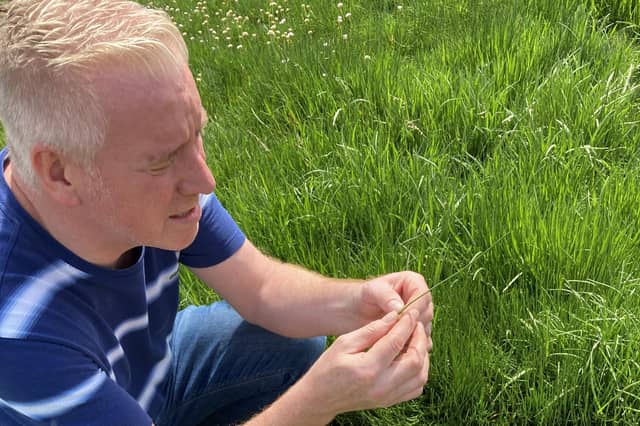 Paul Wedgwood shares his experience as a culinary forager. Pic: Fiona Laing