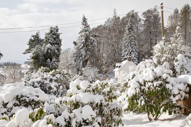 A Met Office snow warning has been expanded to cover more parts of Scotland as blizzard-like conditions predicted for Boxing Day (Photo: Ray Cox).