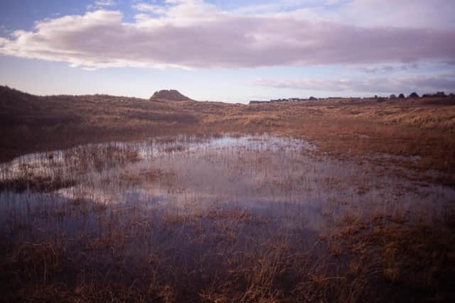 Coul Links is one of the most protected nature sites in Scotland and one of the last remaining undisturbed dune systems of its kind in the country. It is a designated Site of Special Scientific Interest, Special Protection Area and Ramsar wetland site of international importance. Picture: Not Coul