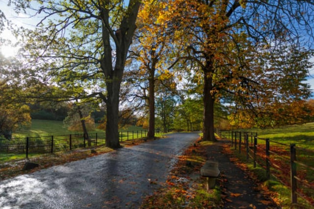 Pollok Country Park in Glasgow has been known as the Best Park in Britain and we can understand why! With over 3.1 million views on TikTok, take in the breathtaking gardens and woodland walks on offer.