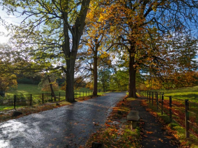 Pollok Country Park in Glasgow has been known as the Best Park in Britain and we can understand why! With over 3.1 million views on TikTok, take in the breathtaking gardens and woodland walks on offer.