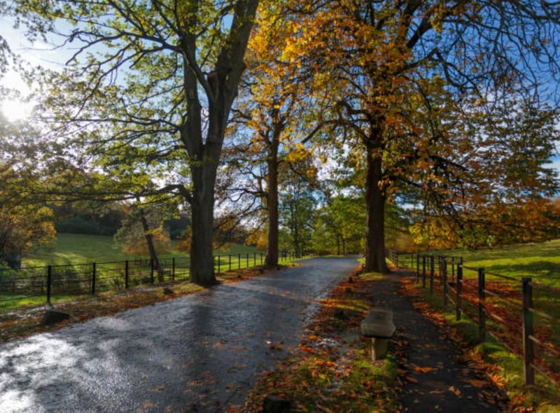 Pollok Country Park in Glasgow has been known as the Best Park in Britain and we can understand why! With over 3.1 million views on TikTok, take in the breathtaking gardens and woodland walks on offer.