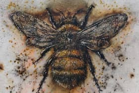 My Name Is Bee