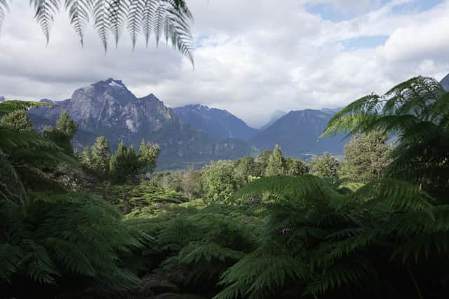 A view of Douglas Point in the distance in the remote rainforests of Vodudahue, Patagonia, Chile. Pic: Martiza Mihoc
