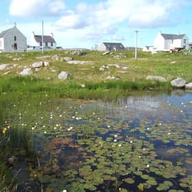 The house for sale in Daliburgh, South Uist (pictured) will not be available to those seeking to buy a holiday or second home. PIC: Barbara Carr/geograph.org/CC.