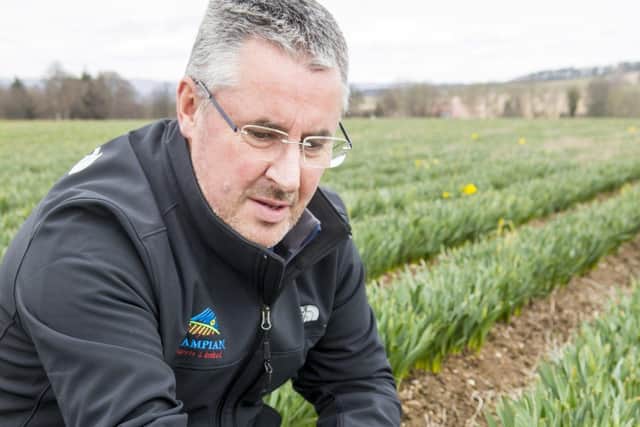 Last year, the 12 farms that are part of Grampian Growers in the north east lost about 70 per cent of their crop due to Covid hitting right over the industry's prime harvest time picture: Grampian Growers