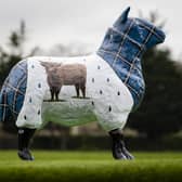 Tartan Storm is coming to the Royal Highland Show