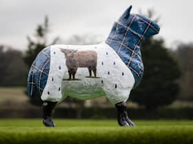 Tartan Storm is coming to the Royal Highland Show