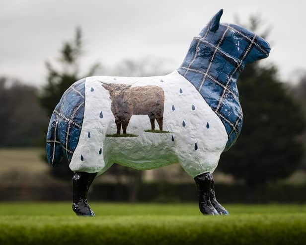 Tartan Storm is coming to the Royal Highland Show