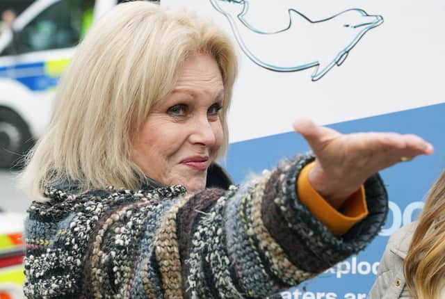 Dame Joanna Lumley has said it would be “absolutely fabulous” if Dumfries were to be named a city as she backed its bid for the status.