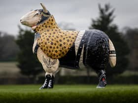 Sheep Will Rock Ewe by Adriana De Matos