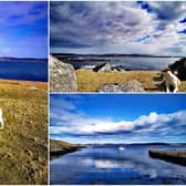 Chris Lewis and his dog Jet were sleeping in a tent on mainland Shetland when the UK Government announced lockdown restrictions on March 23 to limit the spread of coronavirus.