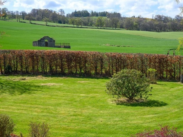 Garden.